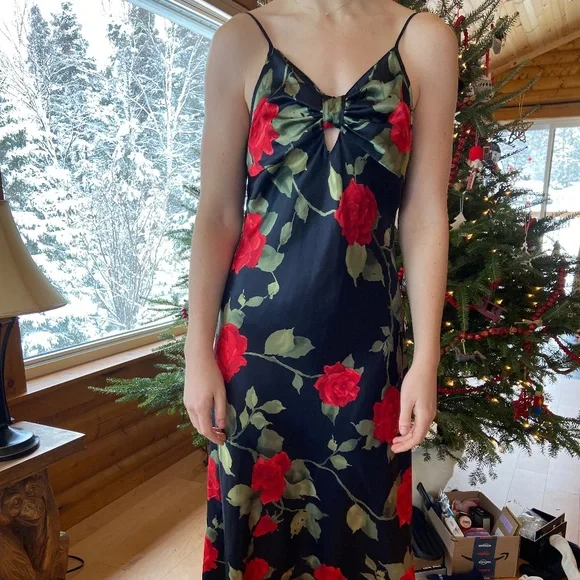 Kim rogers store dresses